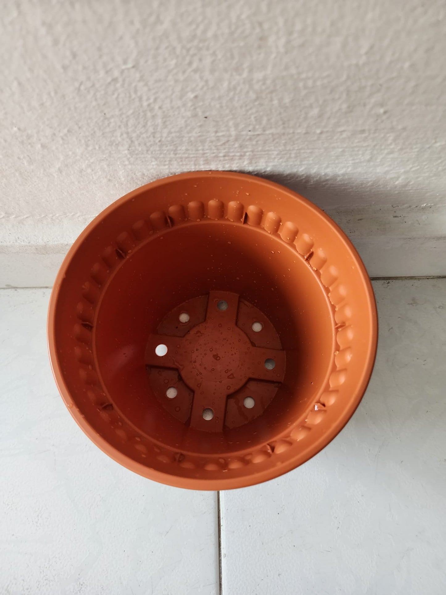 Baba Pot 170