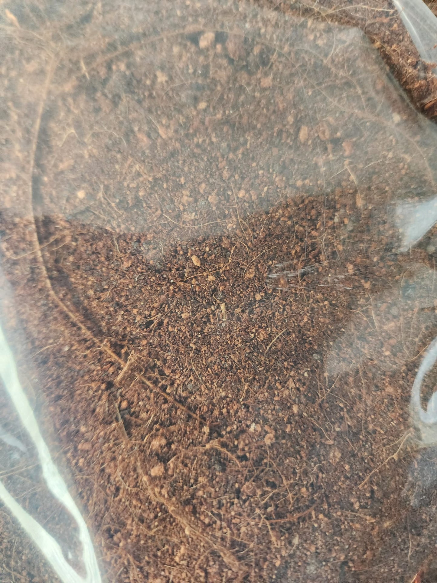 Singapore Gardening Soil