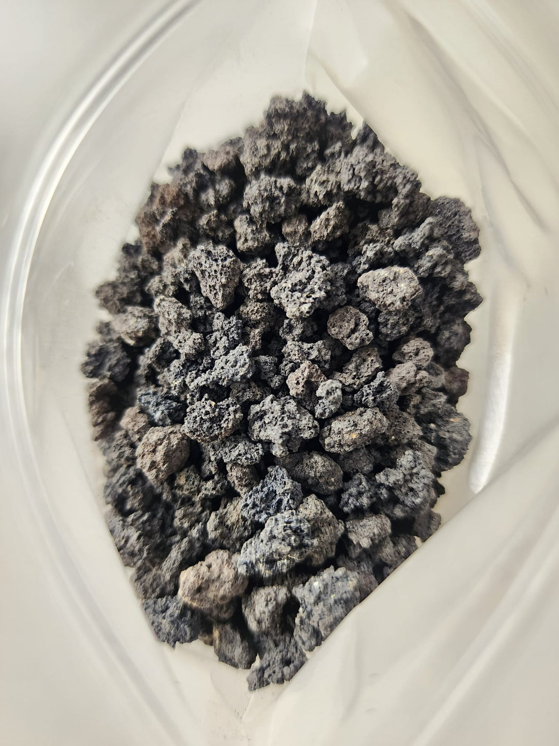 Black Volcanic Rock Shi Sheng Plant